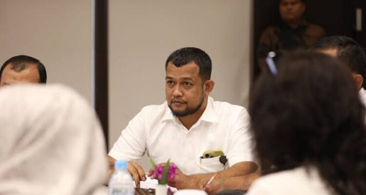 Hadi Suhendra, anggota dewan dari Dapil II. (Ist)