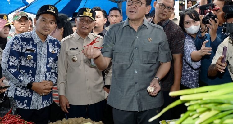 Wakil Gubernur Sumatera Utara Surya mendampingi Menteri Perdagangan RI Budi Santoso pada kunjungan kerja (kunker) di Pasar Gambir Kecamatan Tebingtinggi, Kota Tebingtinggi. (Kominfo Sumut Dok)