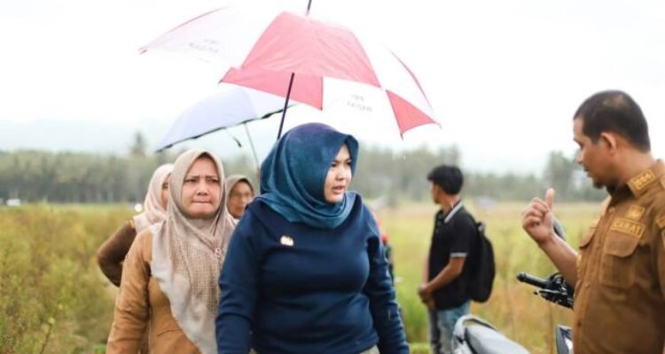 Wakil Bupati Atika Azmi Utammi Nasution didampingi Kepala Badan Penanggulangan Bencana Daerah (BPBD) Mukhsin Nasution dan Kepala Bidang Tanaman Pangan Dinas Pertanian Juli Hidayah usai meninjau lahan tersebut, Senin, (4/5/2026).