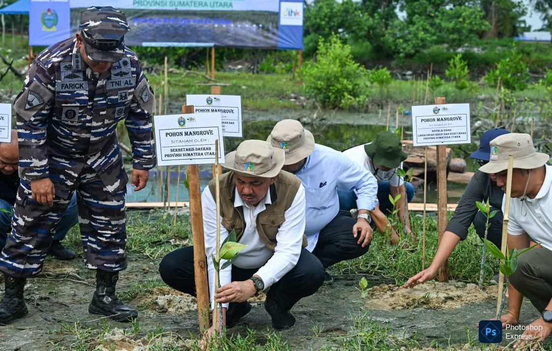 IMG-20260606-WA0028 Sulaiman Harahap tanam pohon dalam rangka Peringatan Hari Lingkungan Hidup Sedunia di KTH Wisata Hutan Pantai Romantis, Desa Sei Naga Lawan, Kecamatan Perbaungan, Sergai. (Kominfo Sumut Dok)