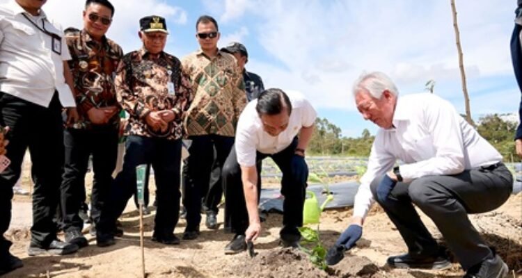Wakil Gubernur Sumatera Utara Surya menghadiri kegiatan kunjungan lapangan bersama delegasi Temasek Singapura di kawasan Taman Sains Teknologi Herbal dan Hortikultura (TSTH2), Jum'at (10/7/2026). Foto/Diskominfo Sumut