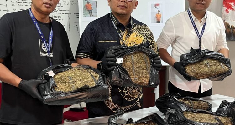 Kasat Res Narkoba Polrestabes Medan, AKBP Rafli Yusuf Nugraha didampingi Kanit II, Iptu Haryono (kiri) memperlihatkan barang bukti daun ganja. (Ist)