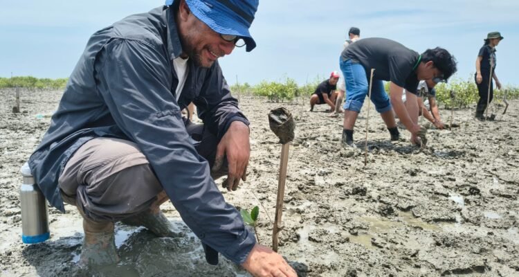 Aksi tanam mangrove dan transplantasi terumbu karang. Foto; IST