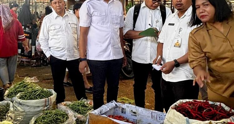 TPID Sumut menurunkan tim gabungan pantau langsung harga, ketersediaan stok, serta kelancaran distribusi Bapokting di pasar-pasar tradisional Kota Medan dan sejumlah kabupaten/kota lainnya. (Kominfo Sumut Dok)
