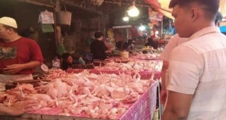 Komisi Pengawas Persaingan Usaha (KPPU) Kantor Wilayah I terus memantau perkembangan harga dan pasokan daging ayam broiler di Sumatera Utara